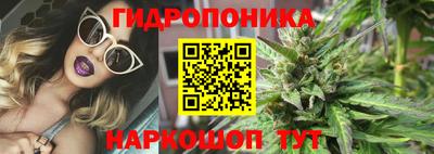 наркотики Сланцы