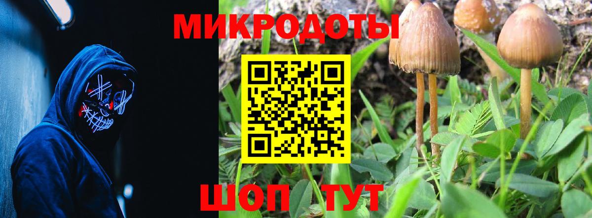 Псилоцибиновые грибы MAGIC MUSHROOMS Нефтекумск