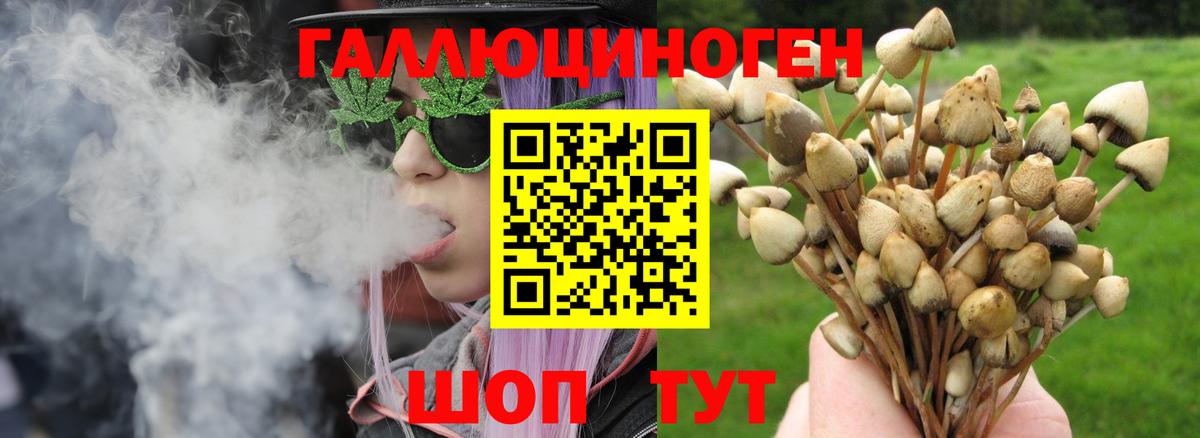 Псилоцибиновые грибы Psilocybine cubensis  Вход с VPN  Нефтекумск 